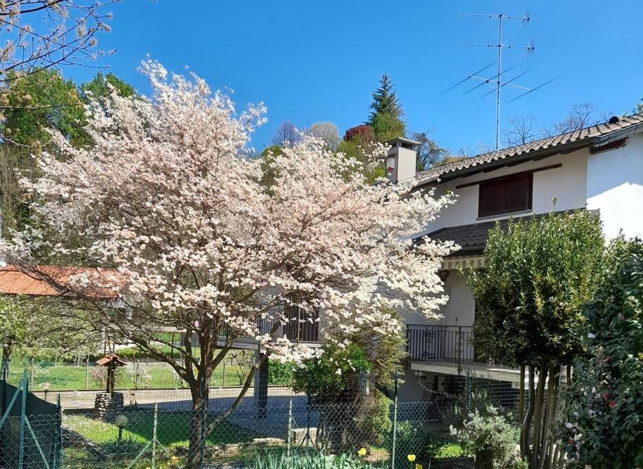 Il Vecchio Kiwi - House With Private Garden Βίλα Oleggio Castello Εξωτερικό φωτογραφία