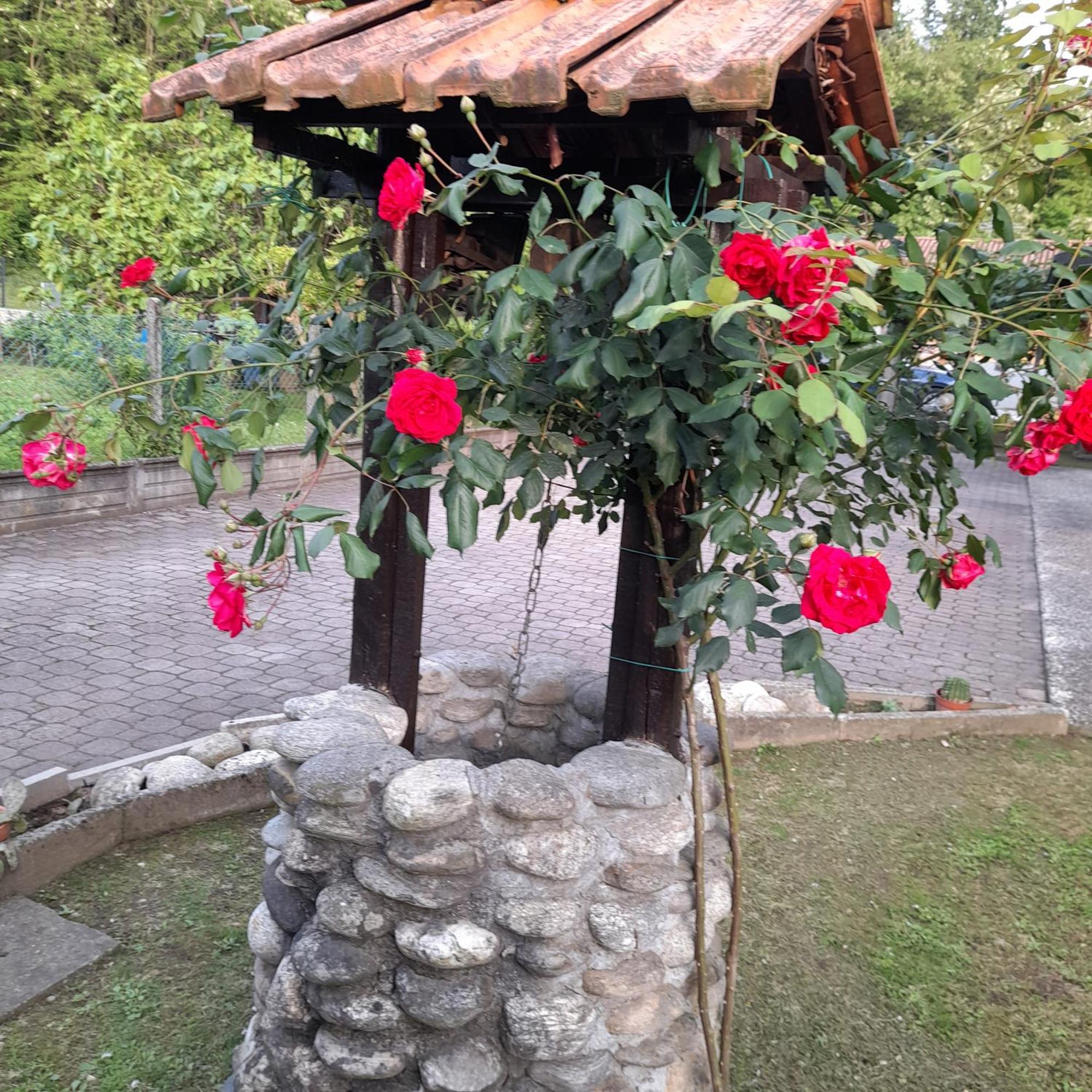 Il Vecchio Kiwi - House With Private Garden Βίλα Oleggio Castello Εξωτερικό φωτογραφία